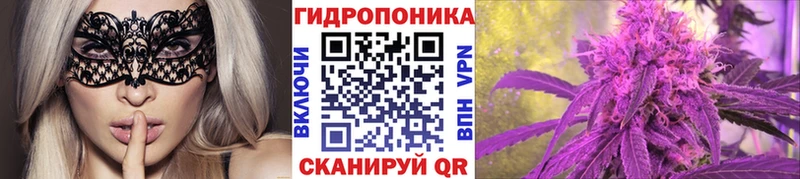 Марихуана план  Почеп 
